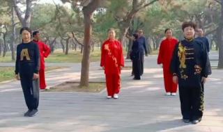 陈式心意混元太极拳