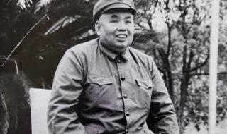 完美世界第79集 完美世界第79集