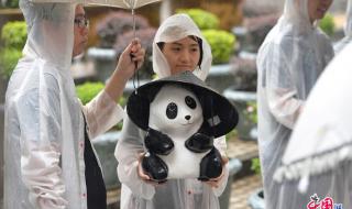 下雨天BY词枝 下雨天BY词枝